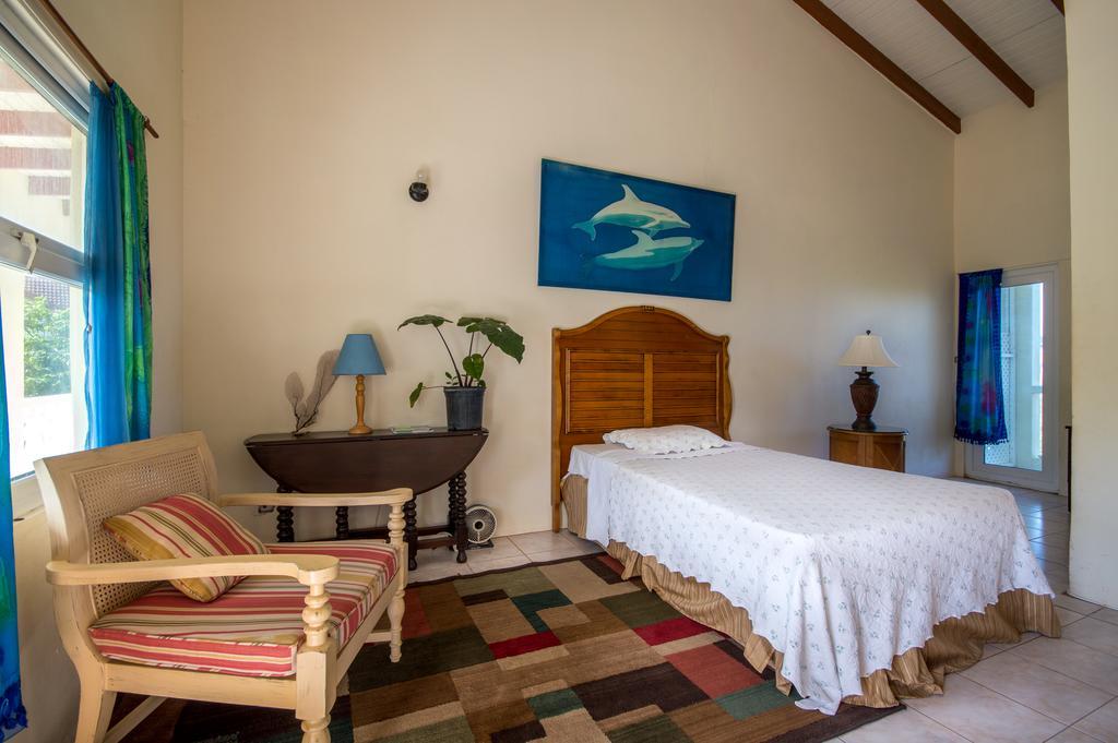 Culture House Hotel Basseterre Buitenkant foto