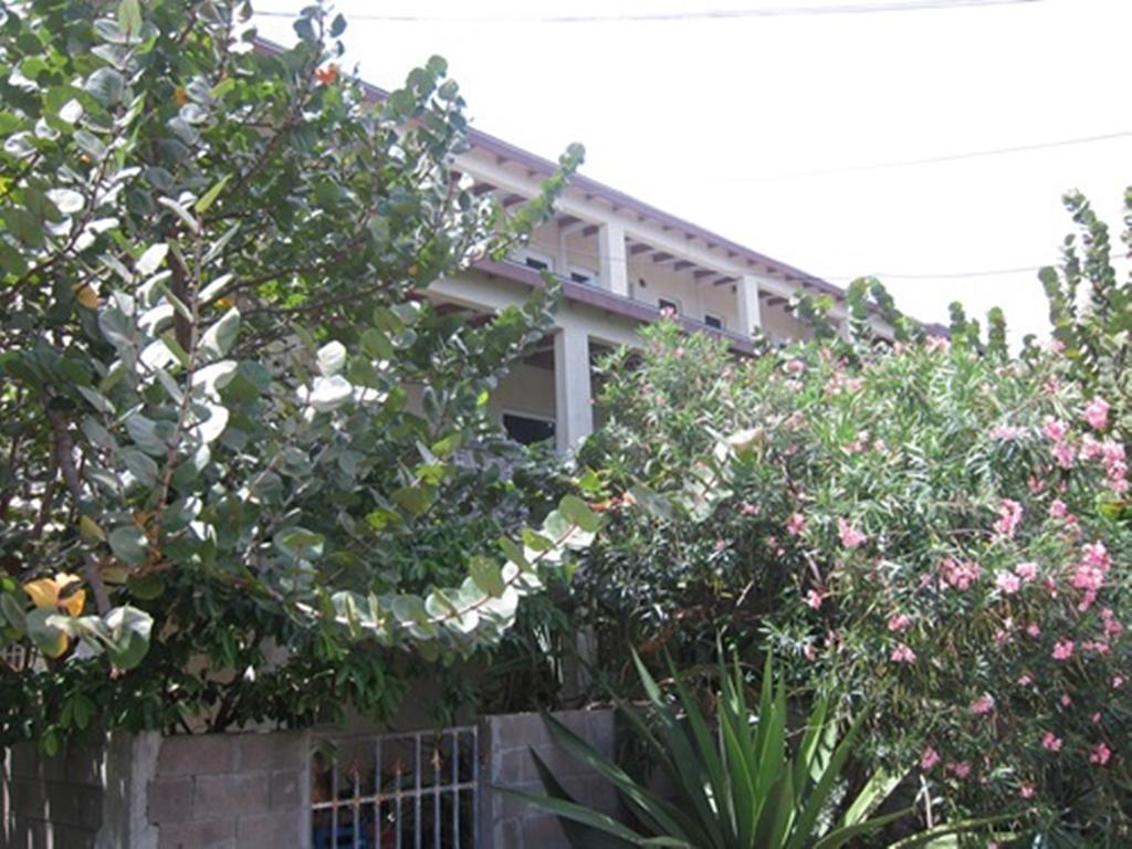 Culture House Hotel Basseterre Buitenkant foto