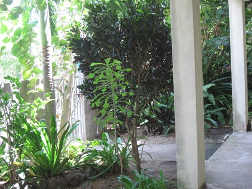 Culture House Hotel Basseterre Buitenkant foto