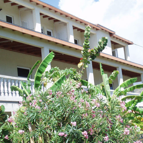 Culture House Hotel Basseterre Buitenkant foto